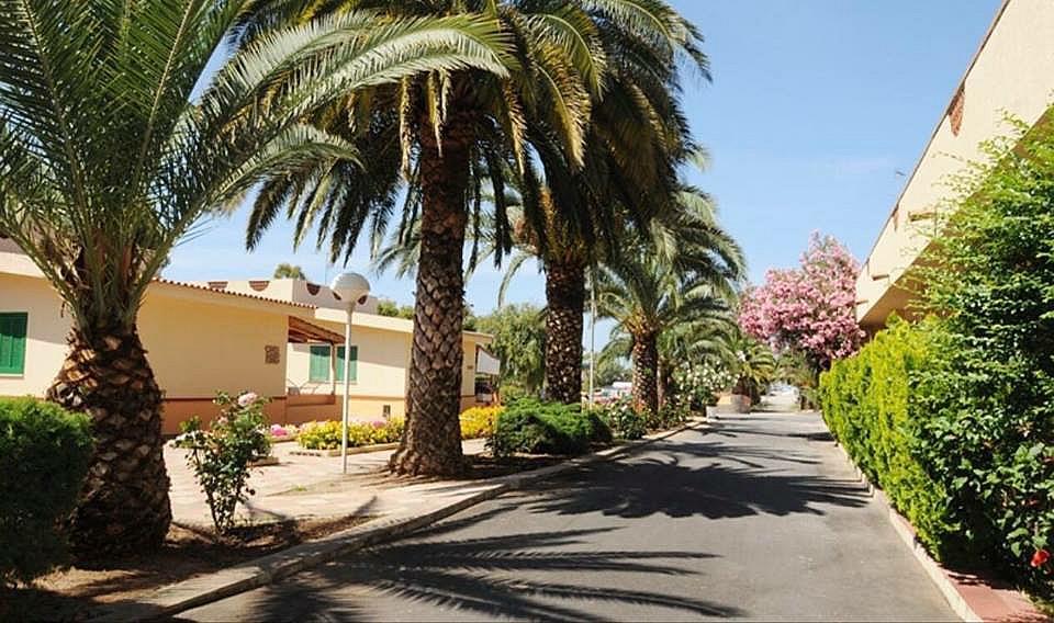 Hotel Summer Day Village Santa Maria Del Cedro Buitenkant foto
