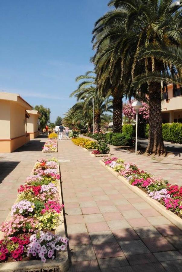 Hotel Summer Day Village Santa Maria Del Cedro Buitenkant foto